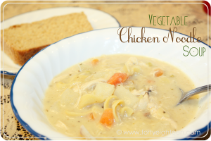 Vegetable Chicken Noodle Soup