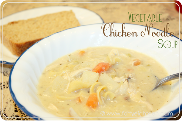 vegetable-chicken-noodle-soup