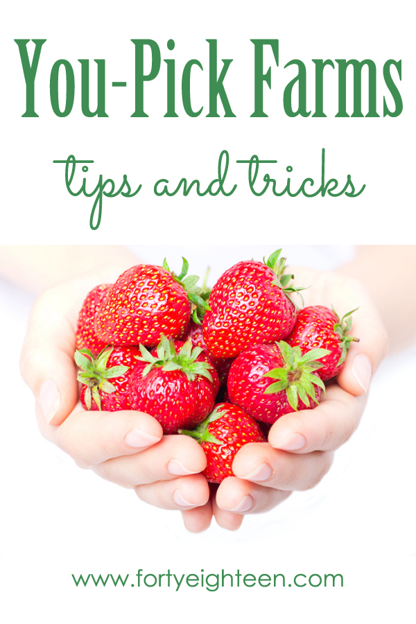 Forty Eighteen U-Pick Farms Tips and Tricks - Forty Eighteen